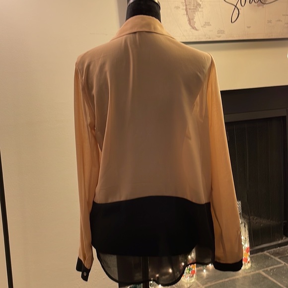 Sheer Blouse - Picture 6 of 13